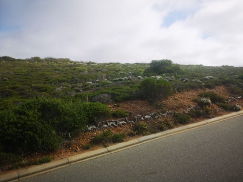 Vacant Land Residential For Sale in Paradise Coast - Photo 9