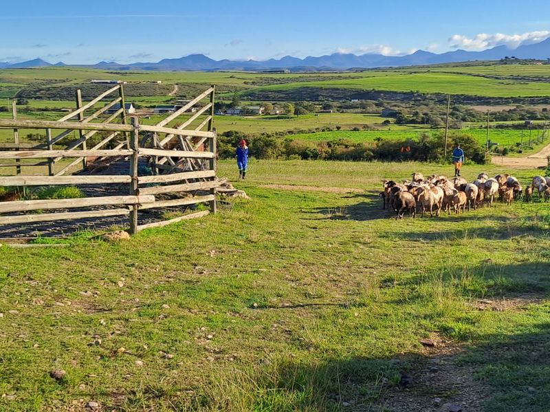 Farm For Sale in Mossel Bay Rural - Photo 8