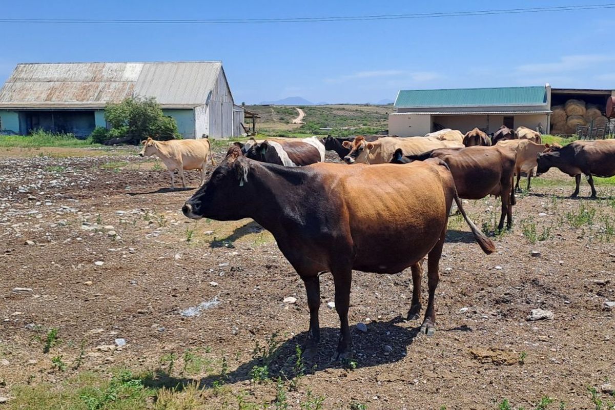 Farm For Sale in Mossel Bay Rural - Photo 5