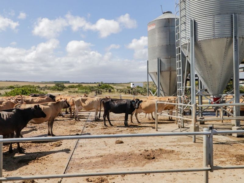 Farm For Sale in Mossel Bay Rural - Photo 10