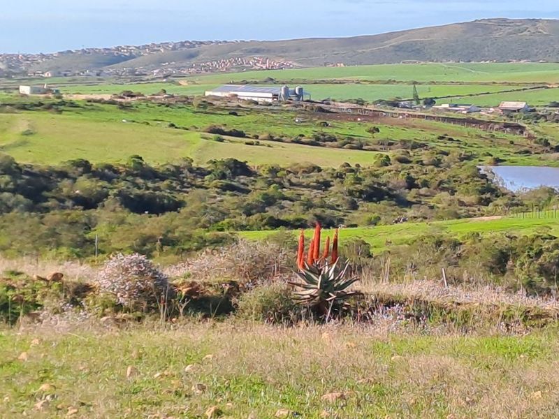 Farm For Sale in Mossel Bay Rural - Photo 5