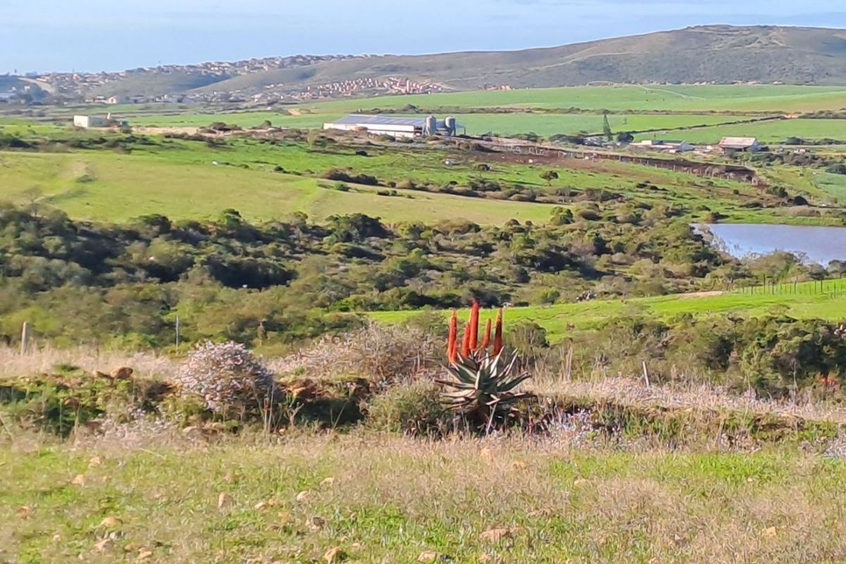 Farm For Sale in Mossel Bay Rural - Photo 5