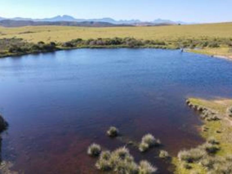 Farm For Sale in Mossel Bay Rural - Photo 8
