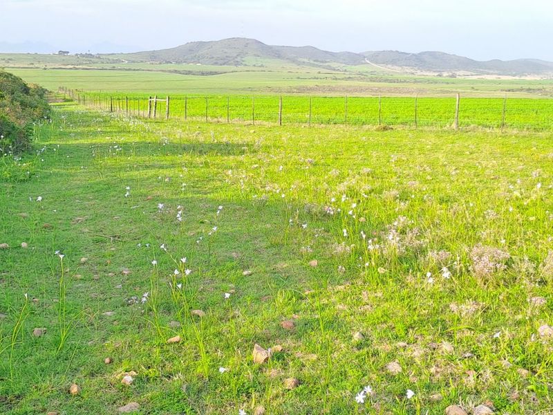 Farm For Sale in Mossel Bay Rural - Photo 7