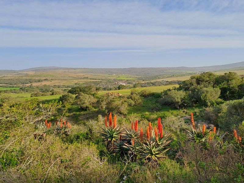 Farm For Sale in Mossel Bay Rural - Photo 6
