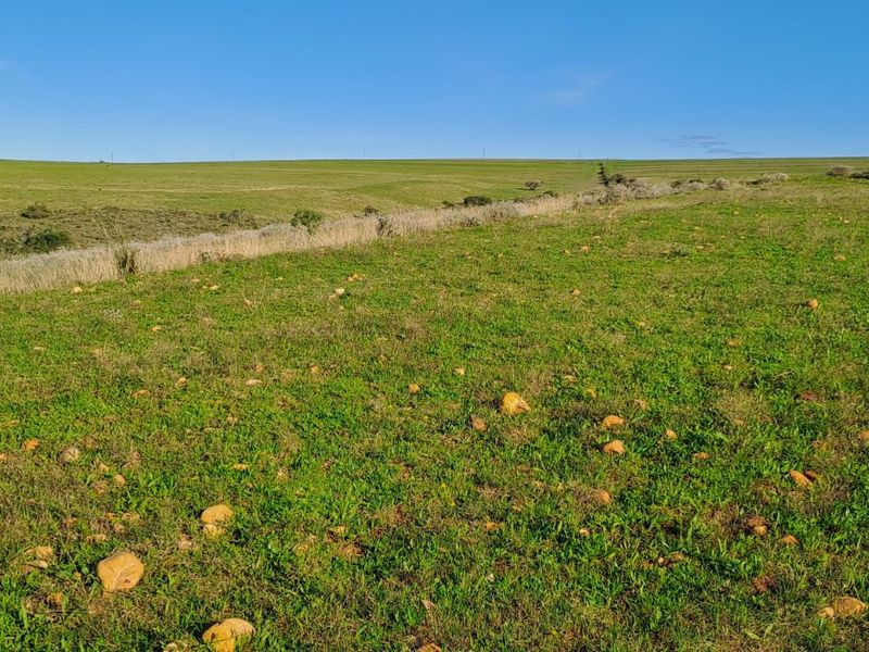 Farm For Sale in Mossel Bay Rural - Photo 4