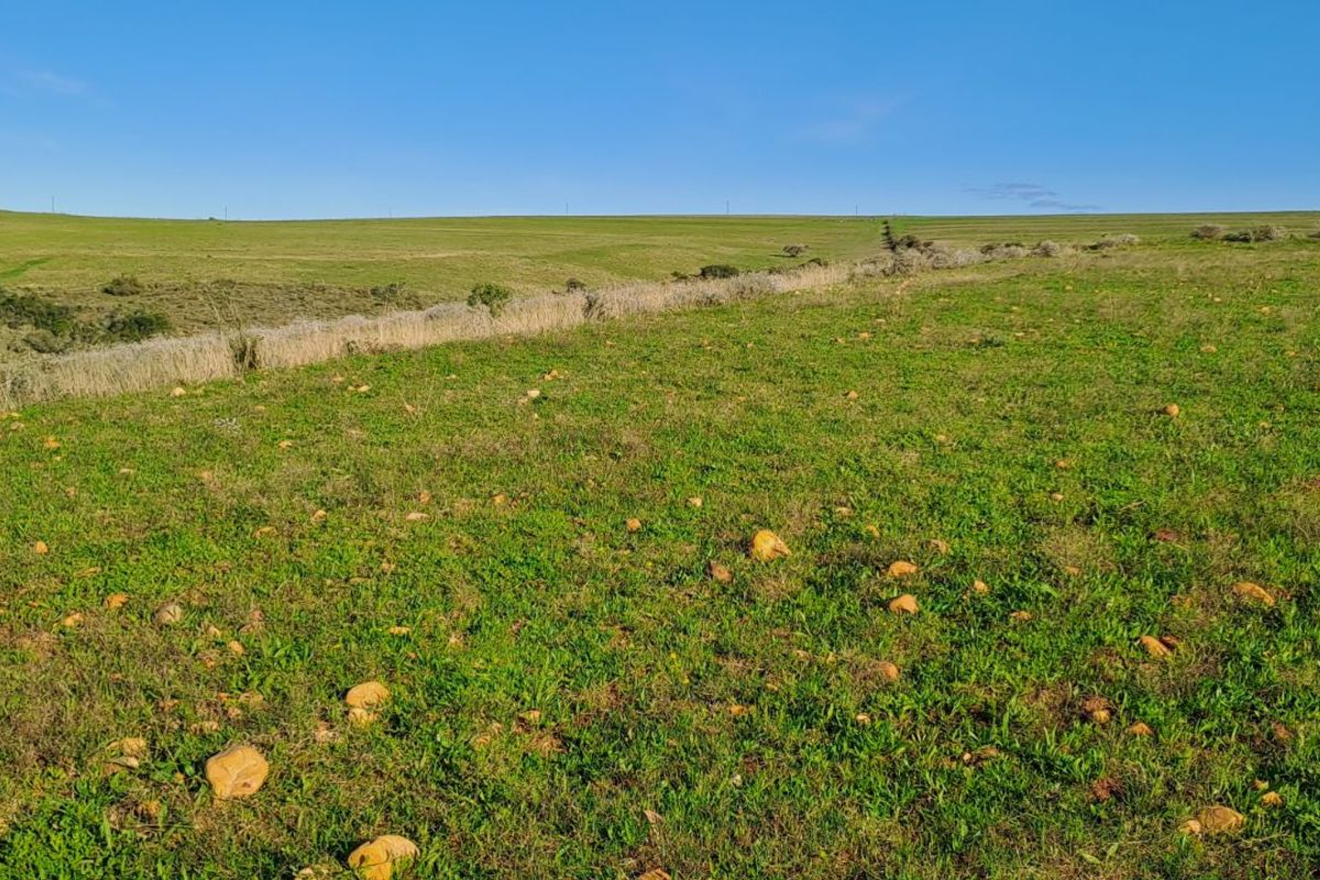 Farm For Sale in Mossel Bay Rural - Photo 4
