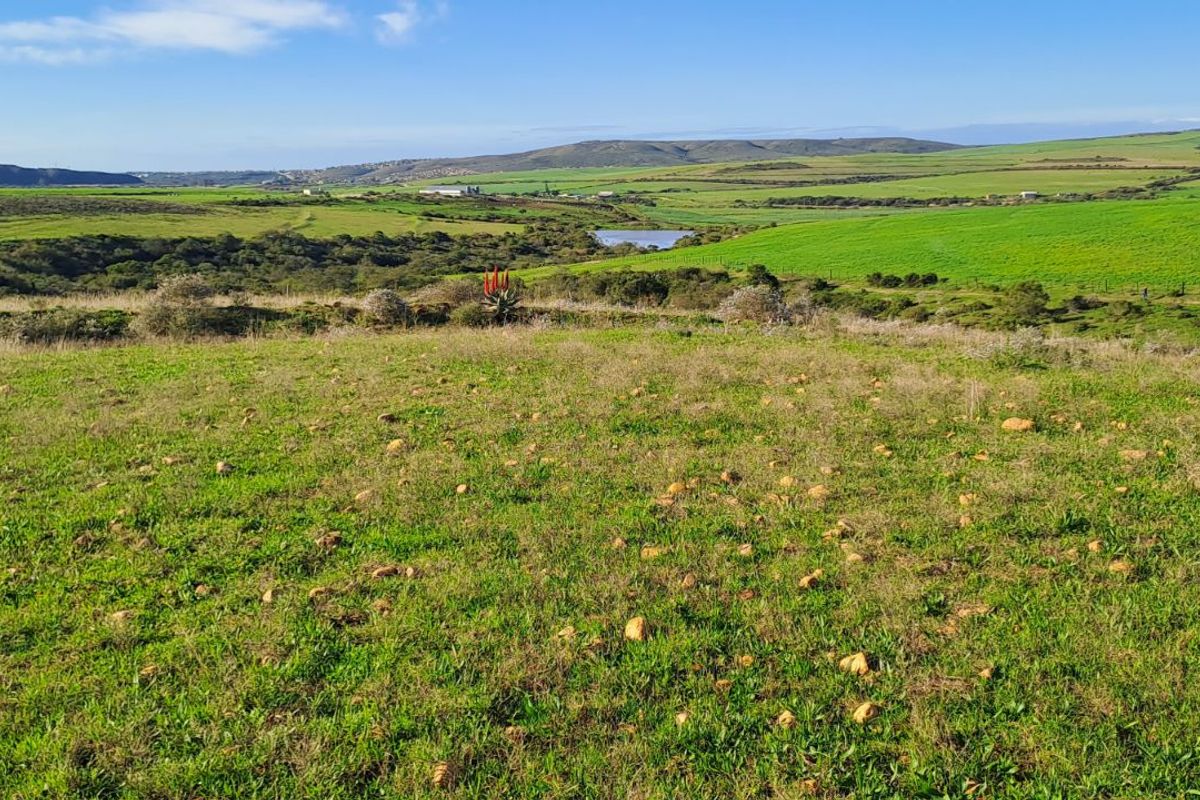 Farm For Sale in Mossel Bay Rural - Photo 3