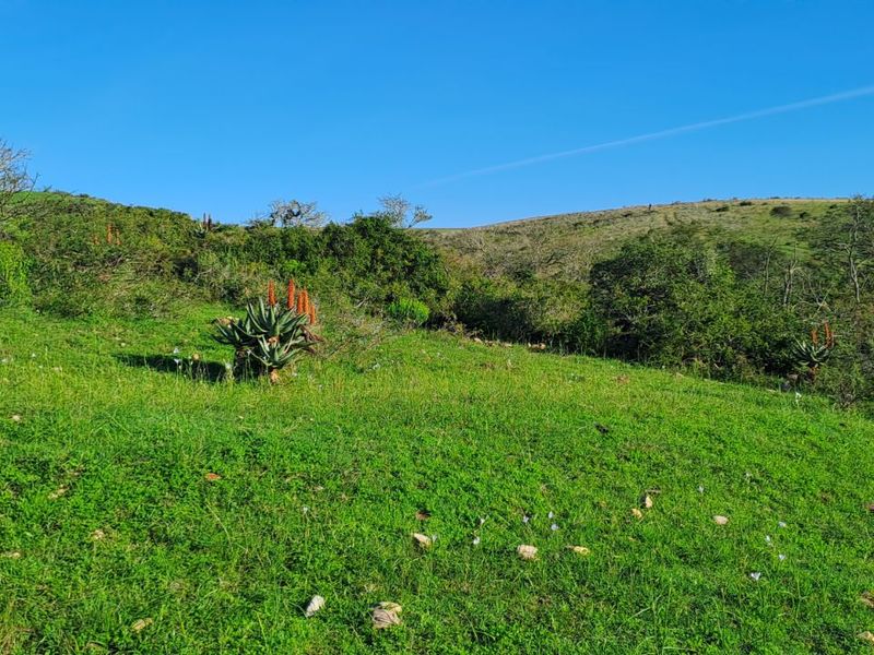 Farm For Sale in Mossel Bay Rural - Photo 2