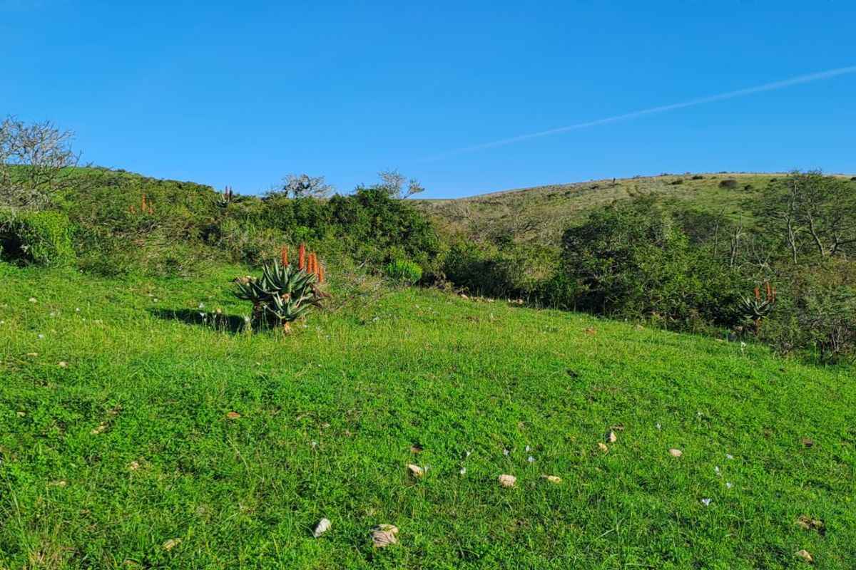 Farm For Sale in Mossel Bay Rural - Photo 2