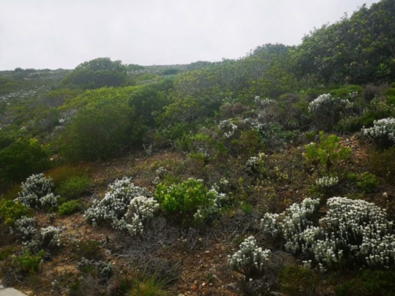 Vacant Land Residential For Sale in Paradise Coast - Photo 6