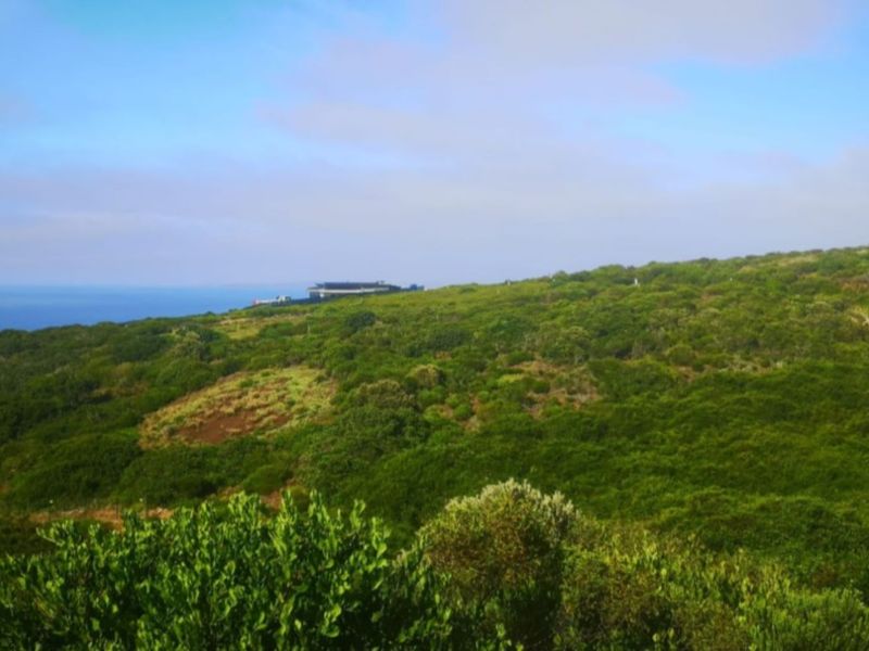 Vacant Land Residential For Sale in Paradise Coast - Photo 9