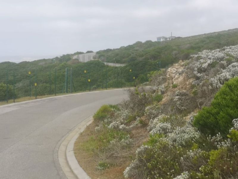 Vacant Land Residential For Sale in Paradise Coast - Photo 7