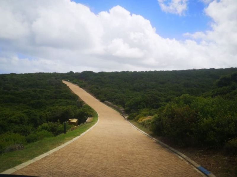 Vacant Land Residential For Sale in Paradise Coast - Photo 8