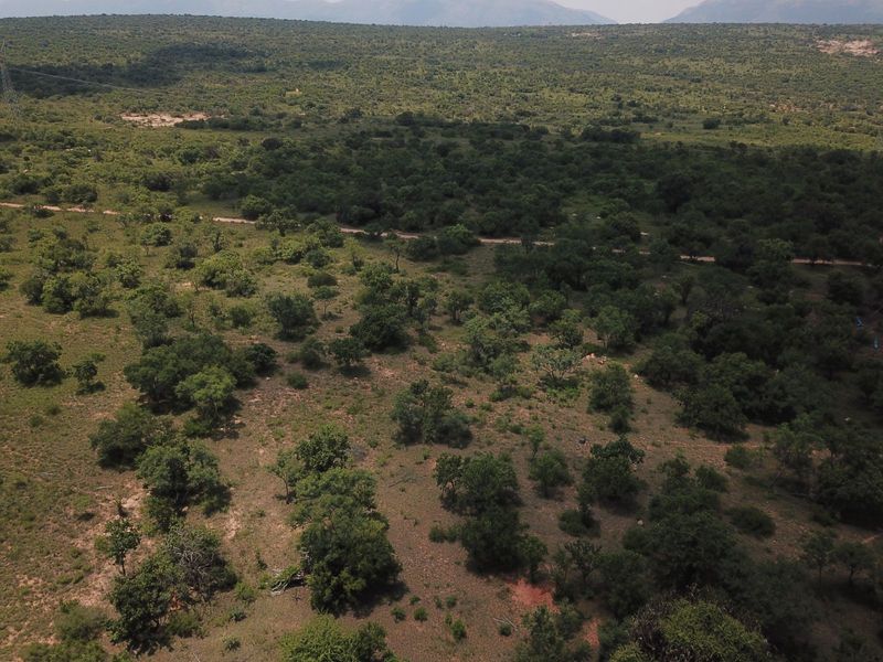 Farm For Sale in Polokwane Rural - Photo 8