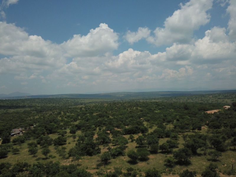 Farm For Sale in Polokwane Rural - Photo 5