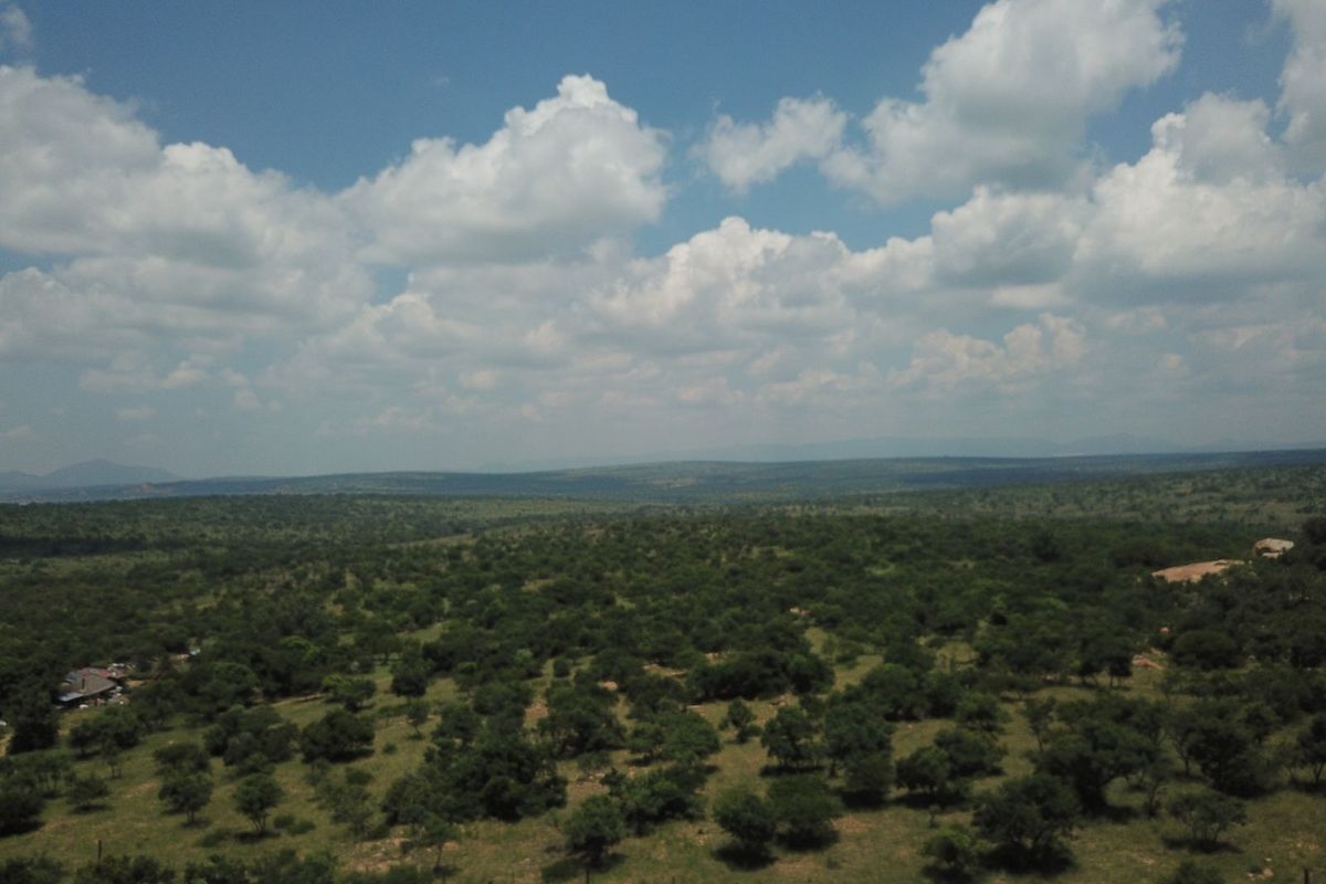 Farm For Sale in Polokwane Rural - Photo 5