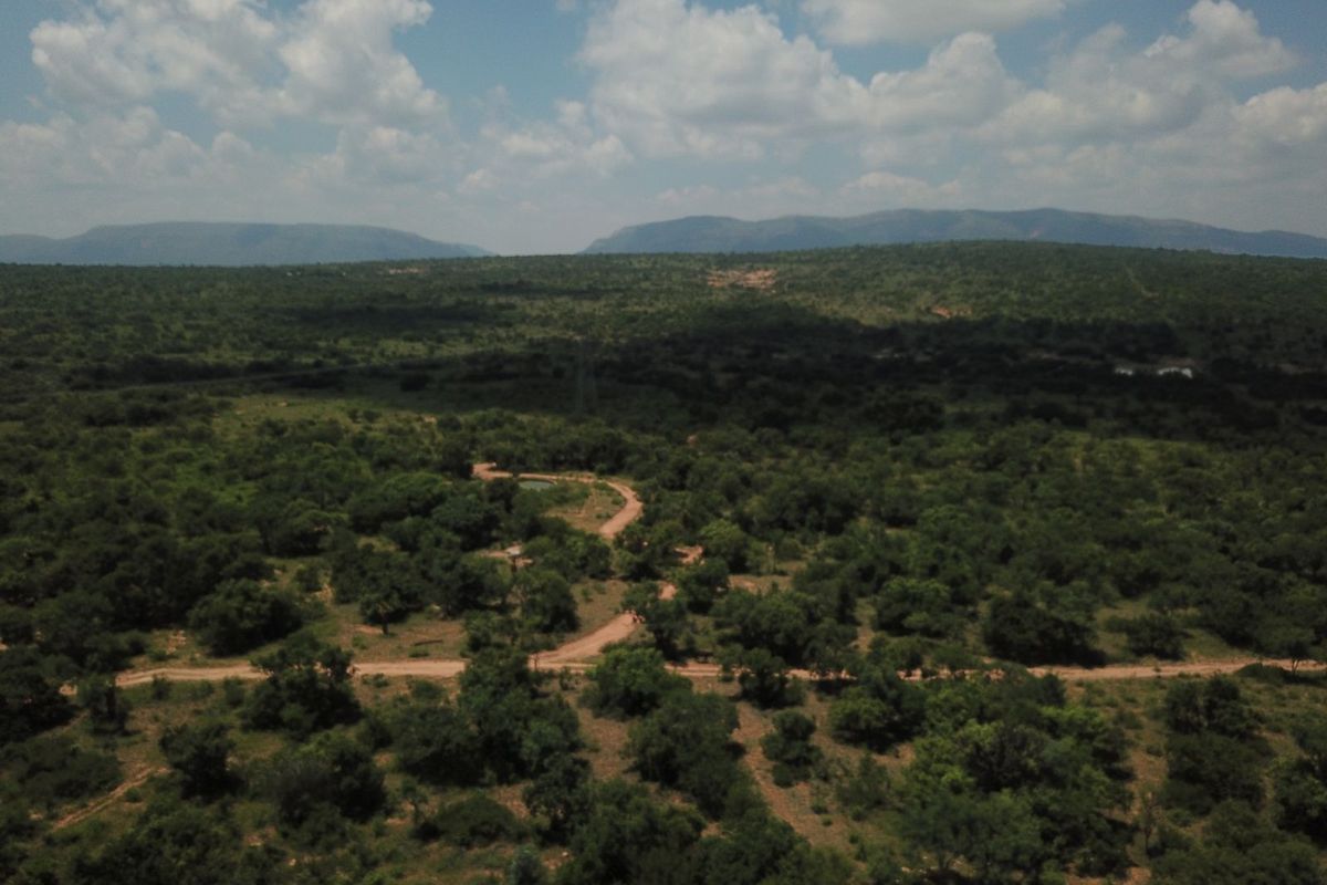 Farm For Sale in Polokwane Rural - Photo 4