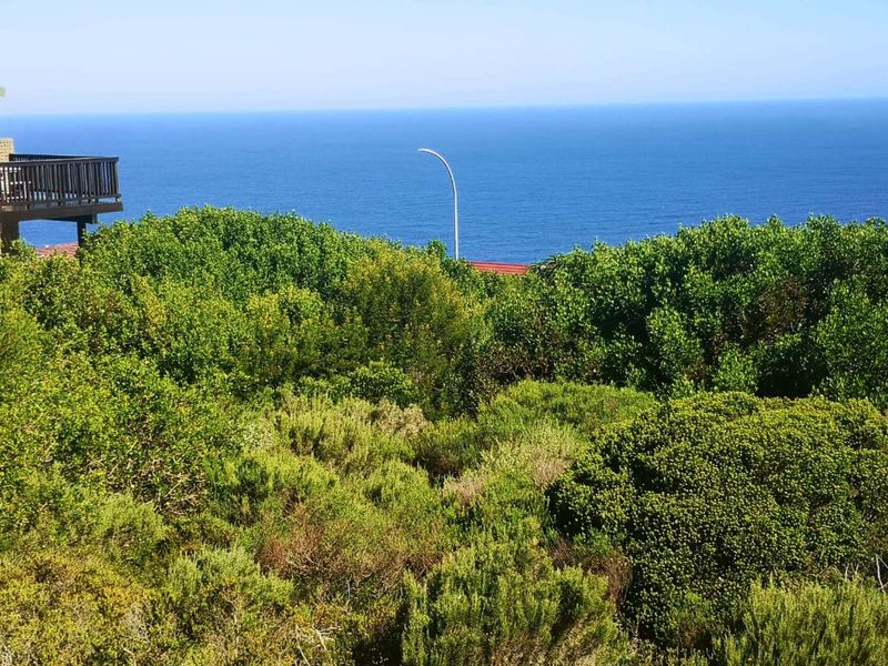 Vacant Land Residential For Sale in Dana Bay - Photo 3