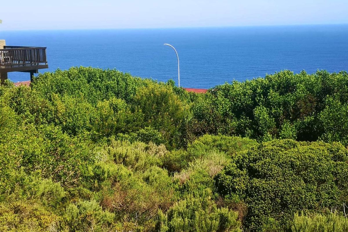 Vacant Land Residential For Sale in Dana Bay - Photo 3