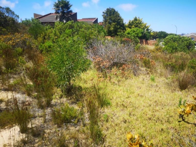 Vacant Land Residential For Sale in Dana Bay - Photo 2