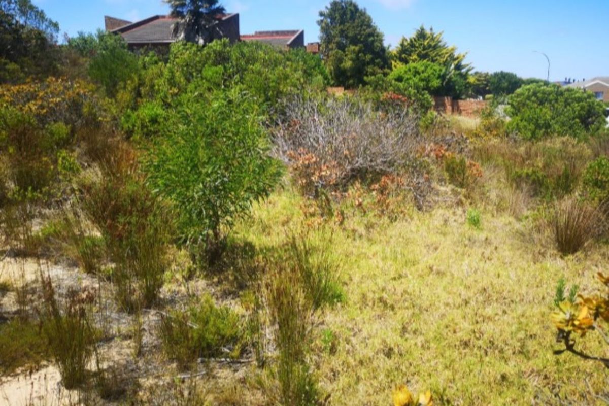 Vacant Land Residential For Sale in Dana Bay - Photo 2