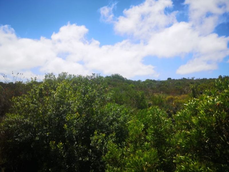 Vacant Land Residential For Sale in Dana Bay - Photo 4