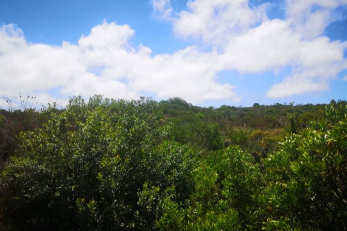 Vacant Land Residential For Sale in Dana Bay - Photo 4
