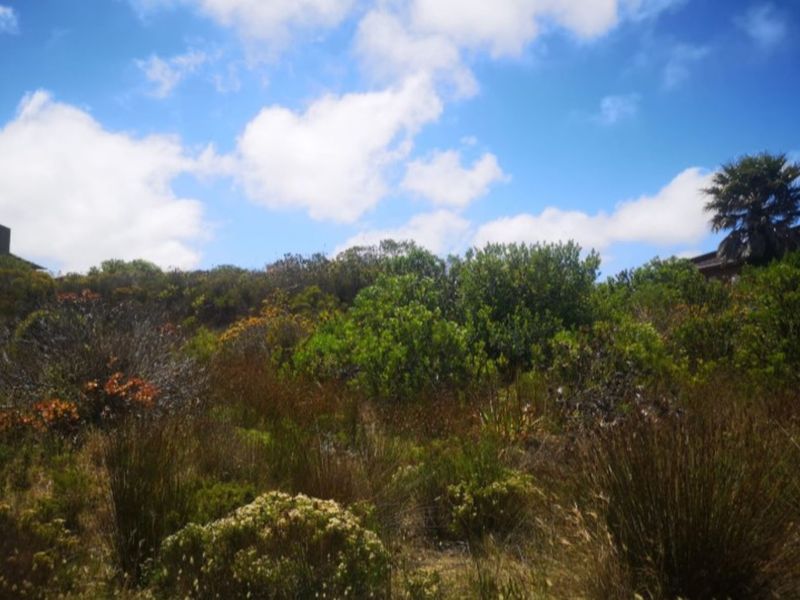 Vacant Land Residential For Sale in Dana Bay - Photo 3