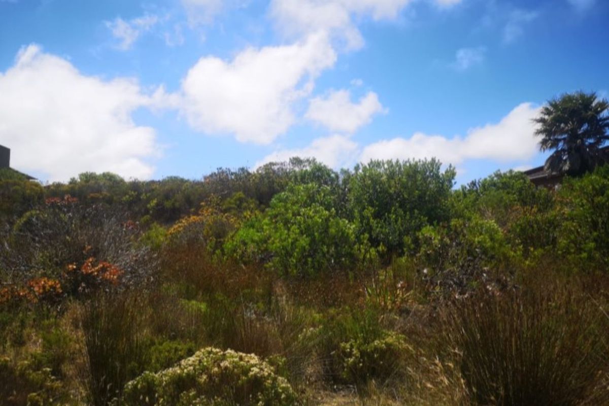 Vacant Land Residential For Sale in Dana Bay - Photo 3