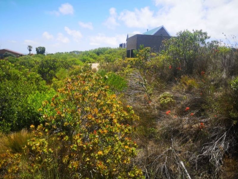 Vacant Land Residential For Sale in Dana Bay - Photo 5