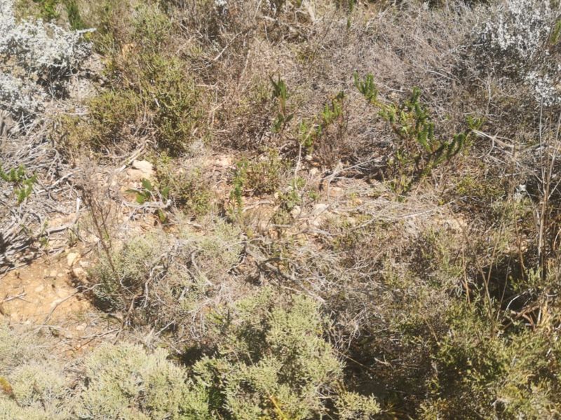 Vacant Land Residential For Sale in Dana Bay - Photo 10
