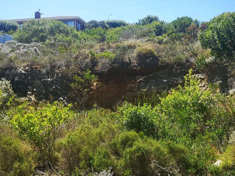 Vacant Land Residential For Sale in Dana Bay - Photo 7