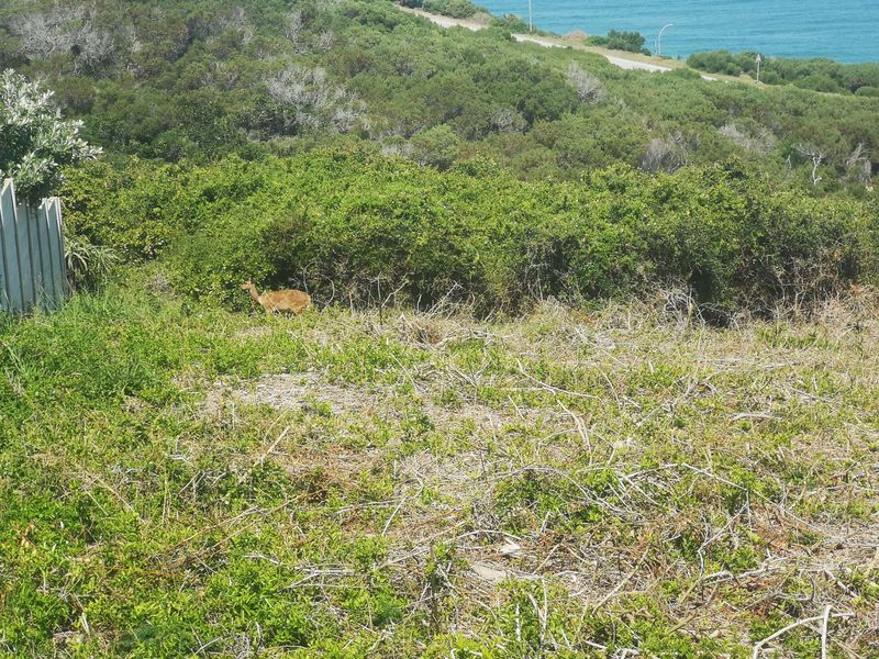 Vacant Land Residential For Sale in Dana Bay - Photo 6