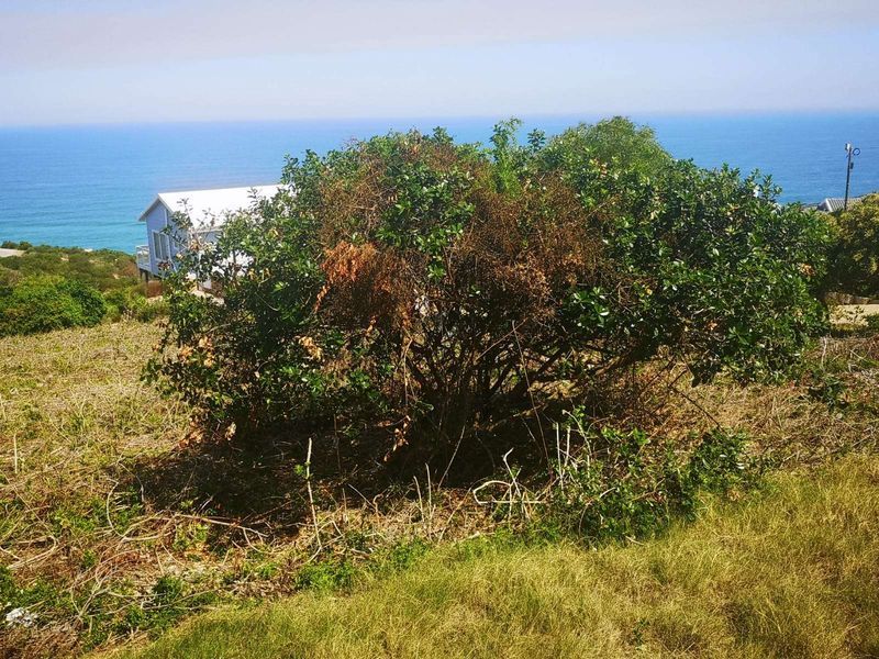 Vacant Land Residential For Sale in Dana Bay - Photo 3