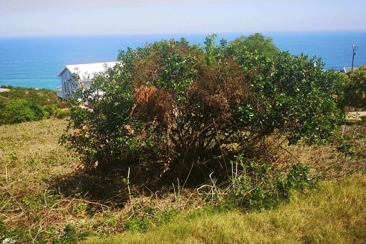 Vacant Land Residential For Sale in Dana Bay - Photo 3