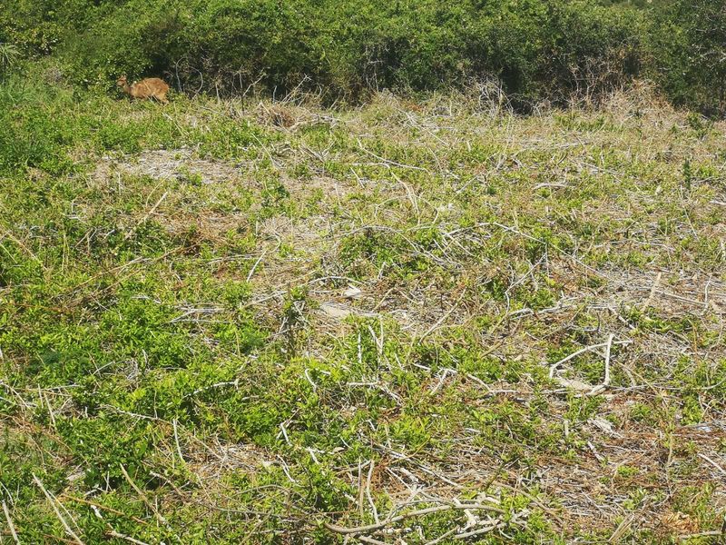 Vacant Land Residential For Sale in Dana Bay - Photo 5