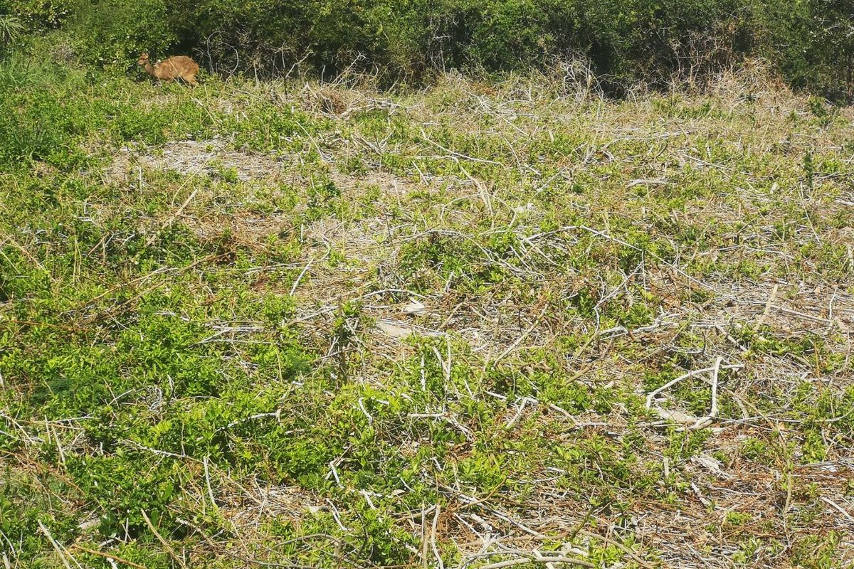 Vacant Land Residential For Sale in Dana Bay - Photo 5