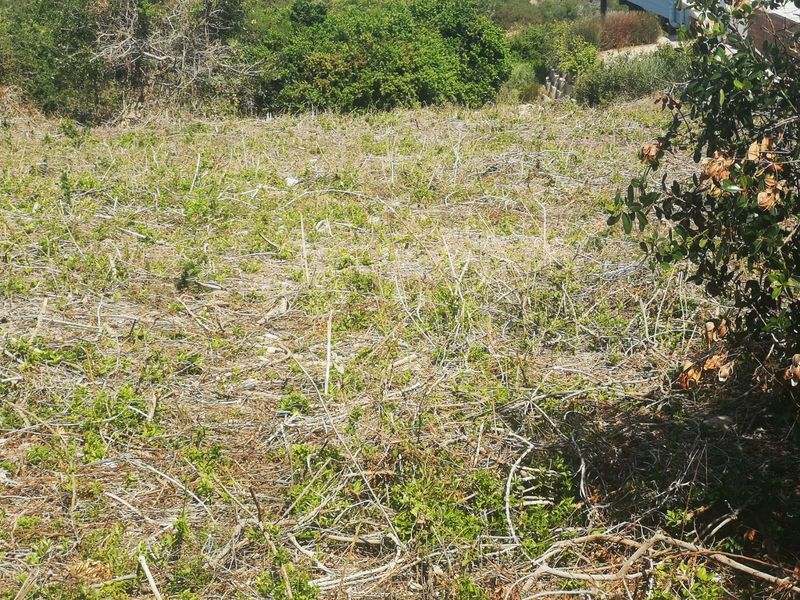 Vacant Land Residential For Sale in Dana Bay - Photo 4