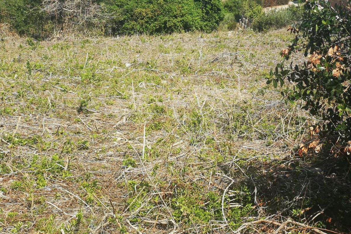 Vacant Land Residential For Sale in Dana Bay - Photo 4