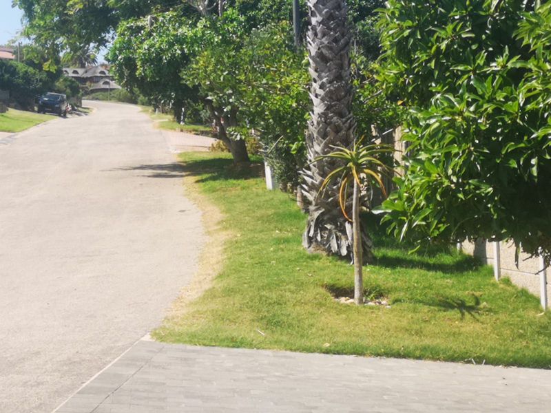 Vacant Land Residential For Sale in Dana Bay - Photo 10