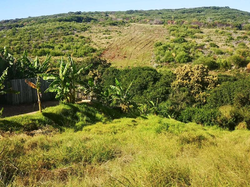 Vacant Land Residential For Sale in Dana Bay - Photo 2