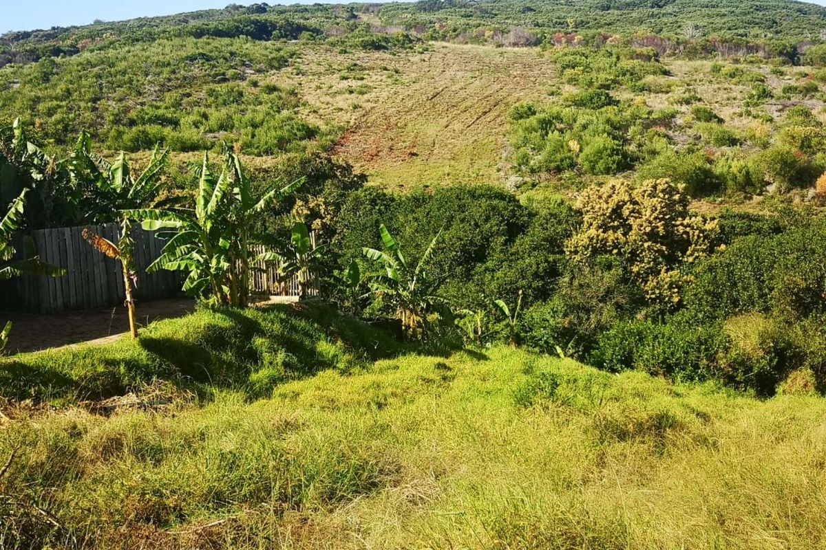 Vacant Land Residential For Sale in Dana Bay - Photo 2