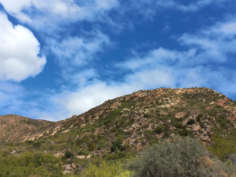 Farm For Sale in Calitzdorp Rural - Photo 3