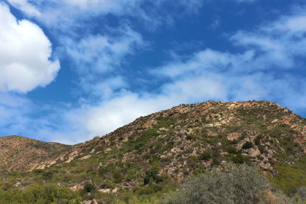 Farm For Sale in Calitzdorp Rural - Photo 4
