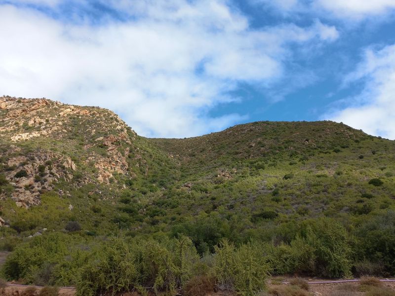 Farm For Sale in Calitzdorp Rural - Photo 4