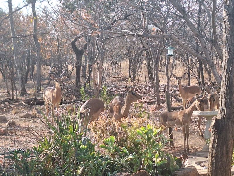 Vacant Land Residential For Sale in Koro Creek Golf Estate - Photo 3