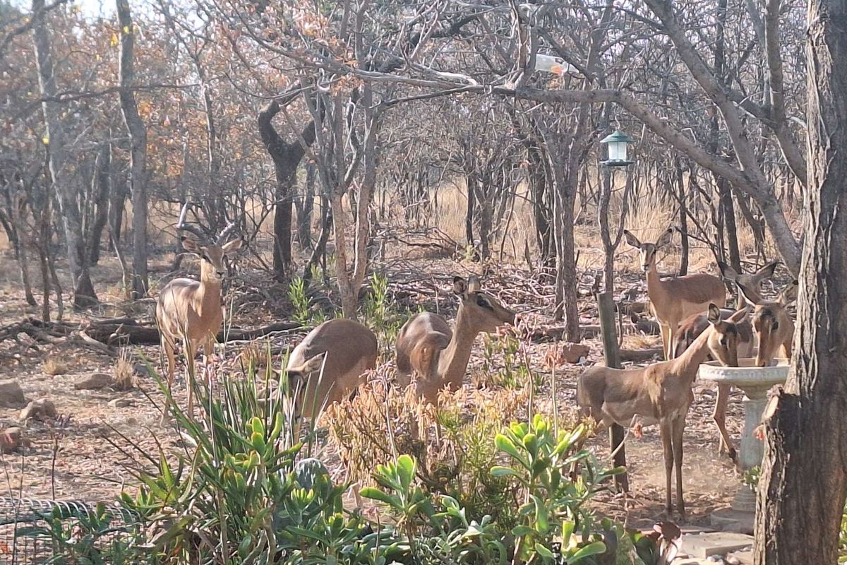 Vacant Land Residential For Sale in Koro Creek Golf Estate - Photo 3