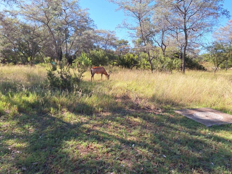 Vacant Land Residential For Sale in Koro Creek Golf Estate - Photo 2