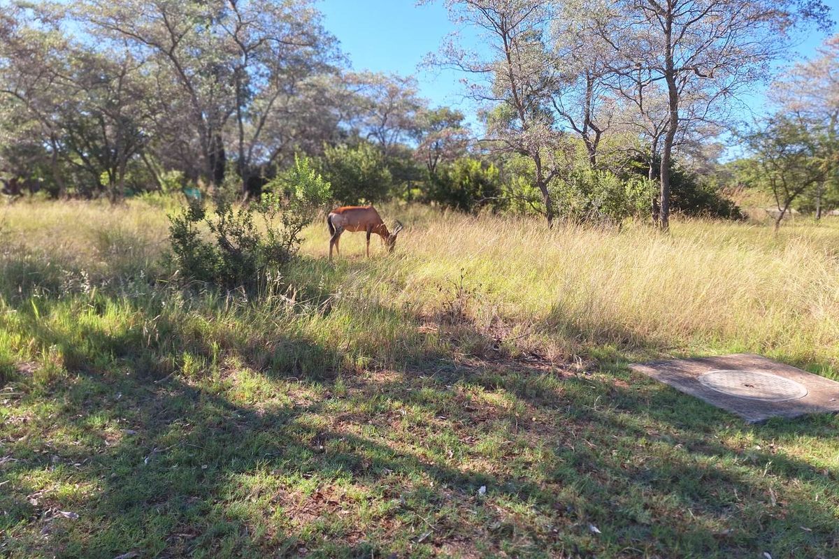 Vacant Land Residential For Sale in Koro Creek Golf Estate - Photo 2